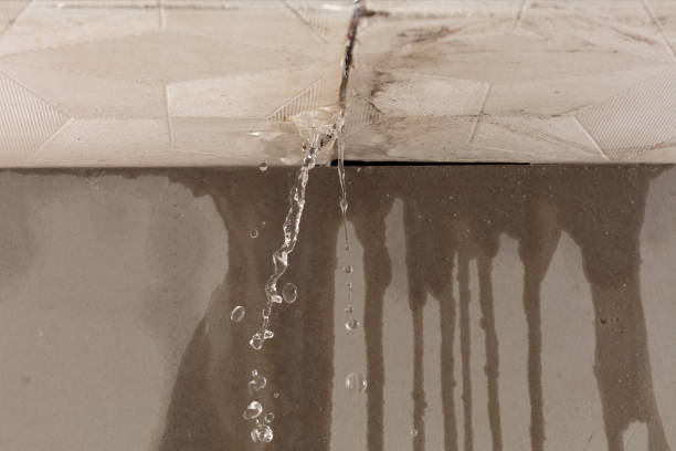 Professional Flood Damage Cleanup technician working in Forest, VA